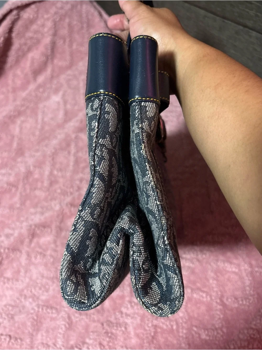 Christian Dior Trotter Tote Bag